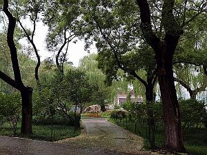 Pekin - Parc Beihai - 13 Juillet 2024 - 28